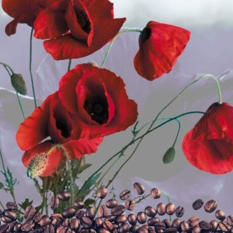 Dark Poppies (Black Opium) Fragrance oil