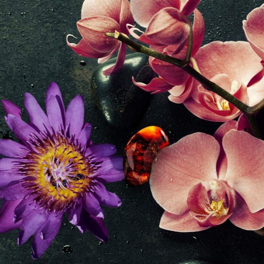 Bliss ‘Euphoria’ by Calvin Klein fragrance oil for use in candles, soap, perfume, diffusers and more