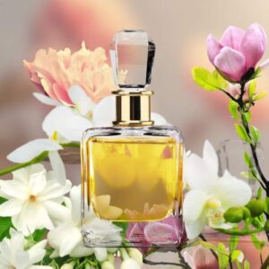 Chloe fragrance oil for use in candle making, soap making, perfumes, diffusers and more.