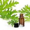 Citronella Essential Oil