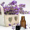 Lavender 40/42 Essential Oil