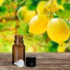 Lemon Essential Oil