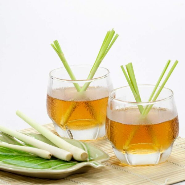 Lemongrass & Ginger fragrance oil for use in candles, soap, perfume, diffusers and more