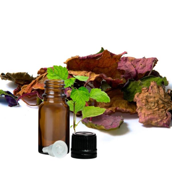 Patchouli Essential Oil