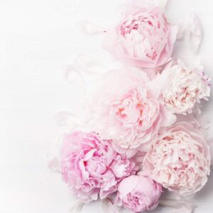 Peony Blush & Suede fragrance oil for use in candles, soap, perfume, diffusers and more