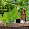 Peppermint Essential Oil