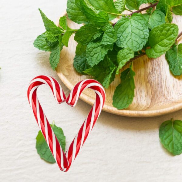 Peppermint fragrance oil for use in candles, soap, perfume, diffusers and more