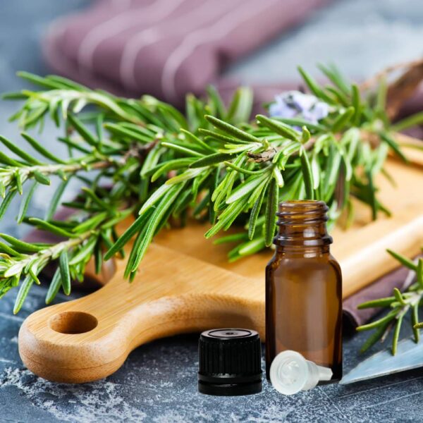 Rosemary essential oil has a clear and penetrating aroma, with a base of camphor and herbs.
