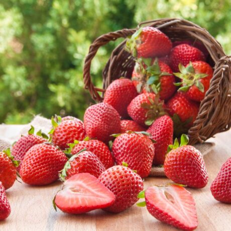 Strawberry Fields fragrance oil for use in candles, soap, perfume, diffusers and more