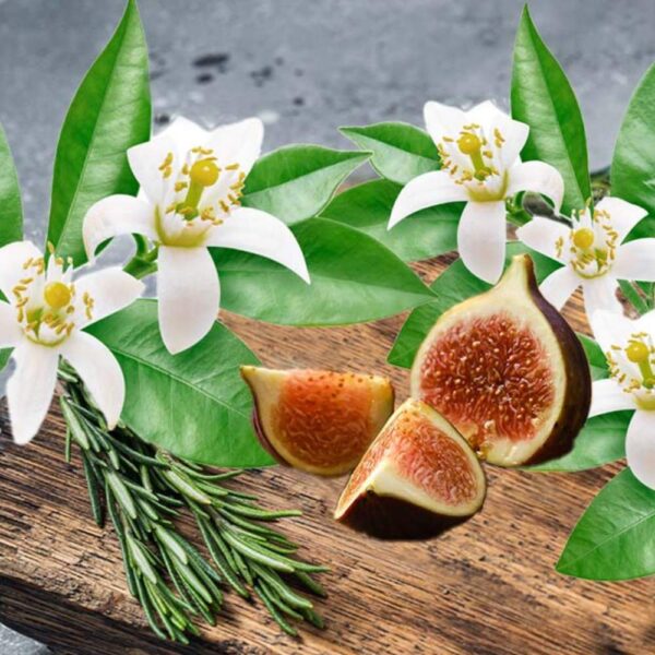 Teak & Neroli fragrance oil for use in candles, soap, perfume, diffusers and more