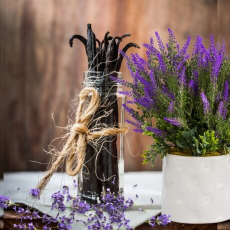 Vanilla Lavender fragrance oil for use in candles, soap, perfume, diffusers and more