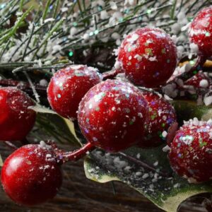 Holly Berry fragrance oil for candles, soaps and more